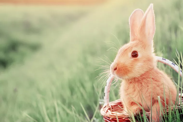 Povoljna situacija u gradskoj blagajni: Prve uskrsnice za nezaposlene u Sisku