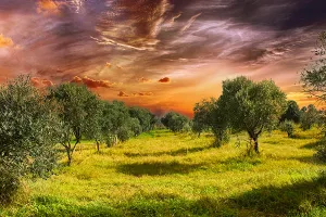 Oporba: Novi Zakon o poljoprivrednom zemljištu nije ono što su poljoprivrednici priželjkivali