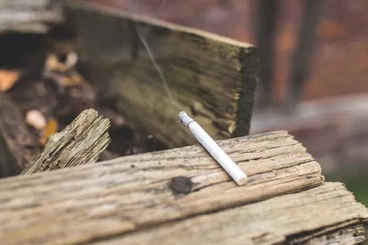 Neugašeni opušci uzrok su velikog požara u Elgradu