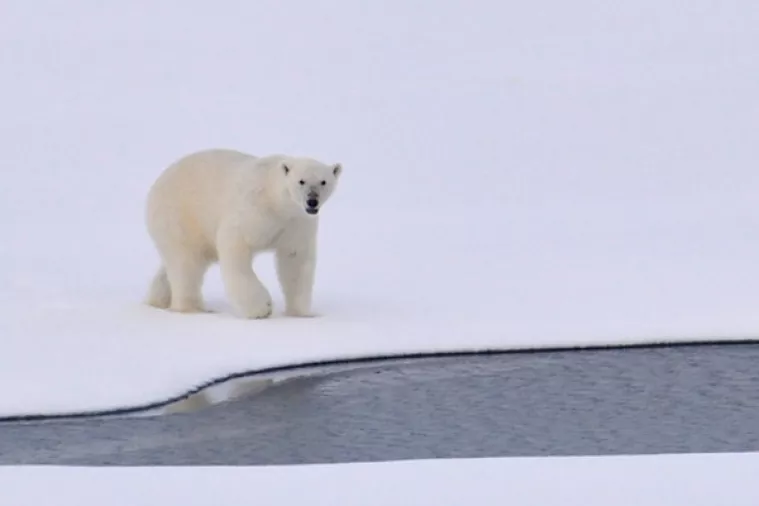 Svjedočimo najvećem topljenju arktičkog leda u posljednjih 1500 godina