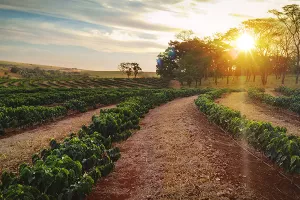 Tolušić: Omotnica za ruralni razvoj trebala bi biti podjednaka za sve članice EU