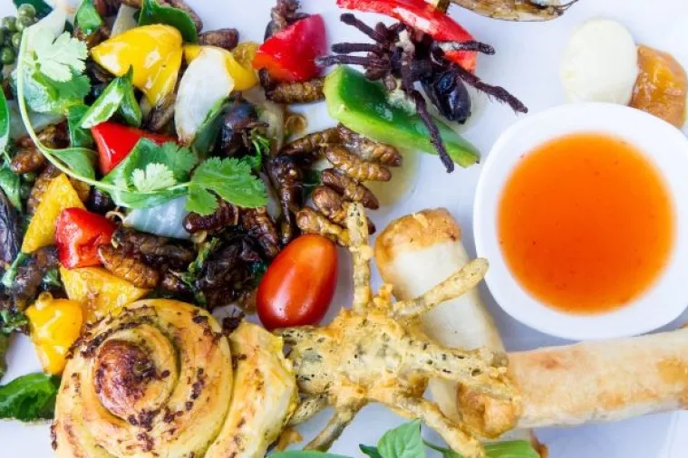 Crvi, tvrdokrilci i zrikavci polako se probijaju do europskih stolova