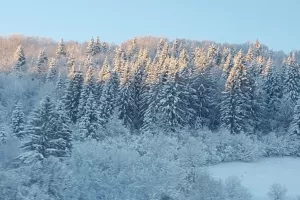 Sniježne radosti: Sat i pol uz konop do posla na Sv. Juri