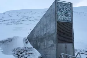 'Biljna Noina arka' prikupila gotovo milijun vrsta sjemena