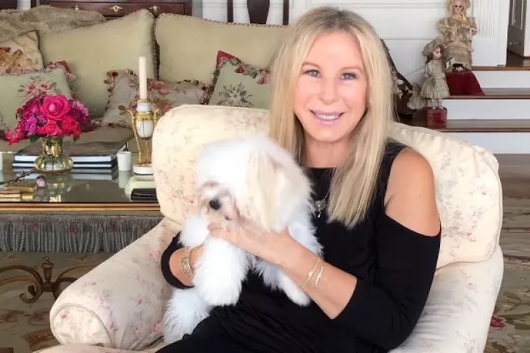 Barbra Streisand klonirala svoju kućnu ljubmicu