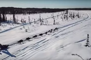 Utrka pasa sa saonicama Iditarod počela uz smijeh, lavež i pet lažnih grobova