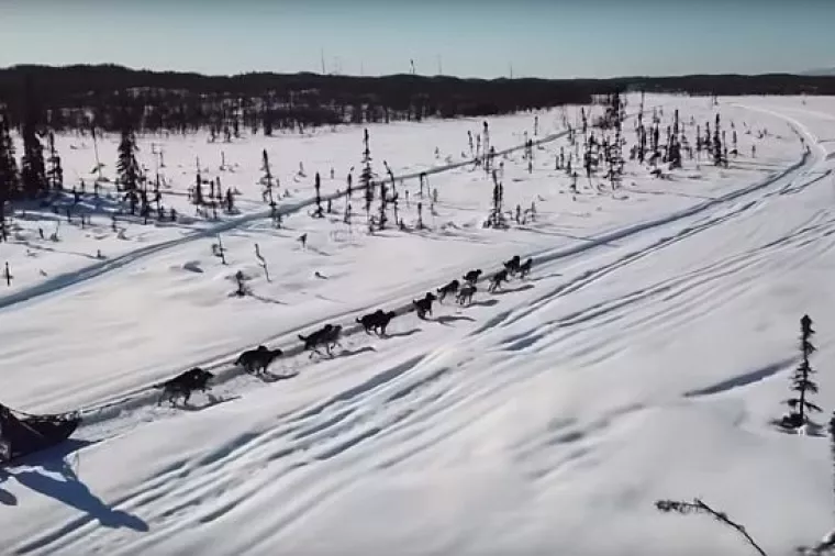 Utrka pasa sa saonicama Iditarod počela uz smijeh, lavež i pet lažnih grobova
