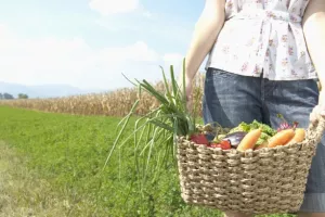 Zbog vremenskih uvjeta lani voće poskupilo za 24,5 posto u odnosu na 2016.