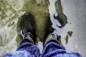 Država ponižava žrtve požara i poplava