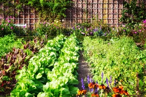 Donesen Zakon o obiteljskom poljoprivrednom gospodarstvu