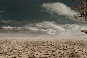 Svjetska banka: 140 milijuna 'klimatskih migranata' do 2050. godine