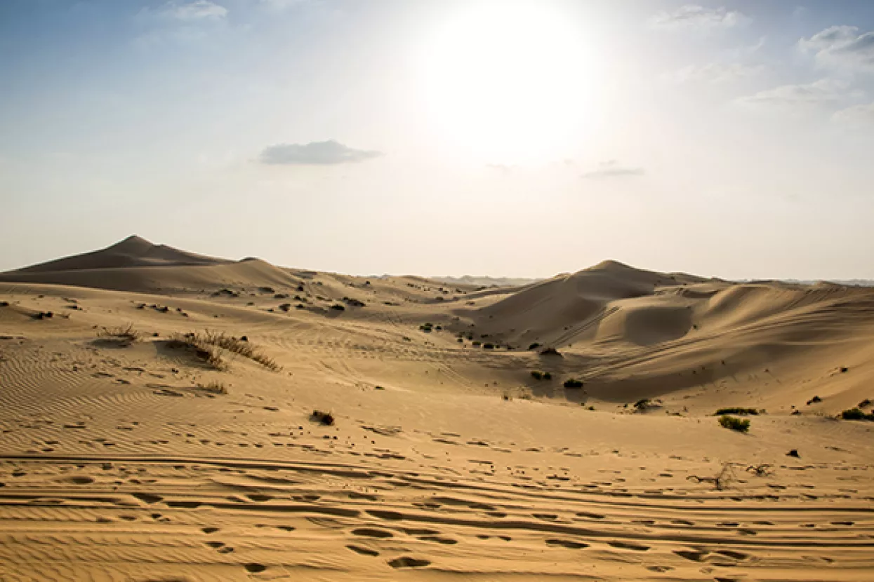 Stručnjaci s MIT-a 'pronašli' vodu u pustinji