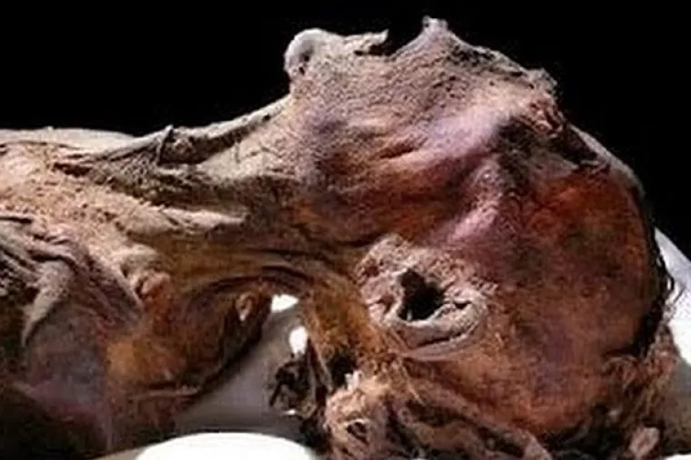 Nakon 15 godina riješen misterij mumificiranog kostura iz Atacame