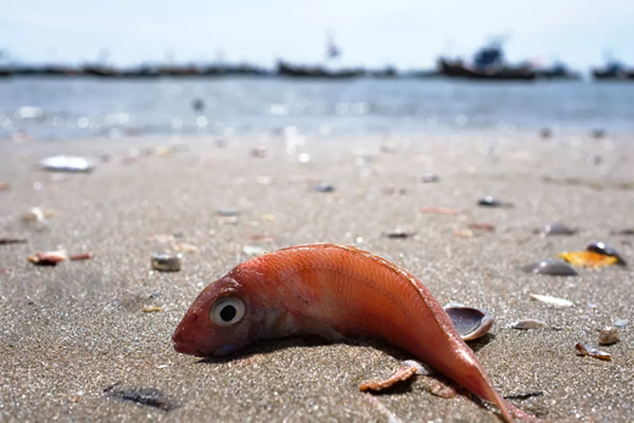 VIDEO: Pacifikom pluta nakupina plastičnog otpada teža od 43 tisuće automobila
