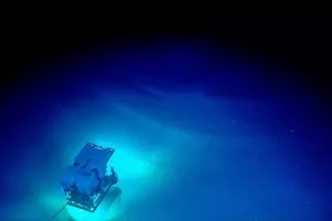 VIDEO: Ribe udičarke po prvi put uhvaćene 'spuštenih gaća'