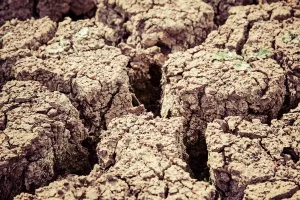 Degradacija tla natjerat će 50 milijuna ljudi na migraciju