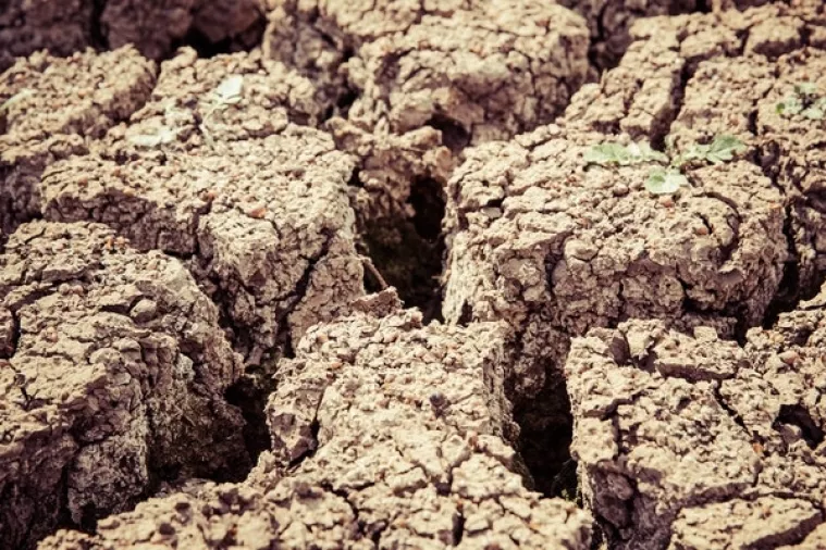 Degradacija tla natjerat će 50 milijuna ljudi na migraciju