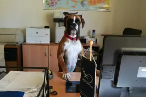 cargo-partner postao član međunarodne udruge za prijevoz živih životinja