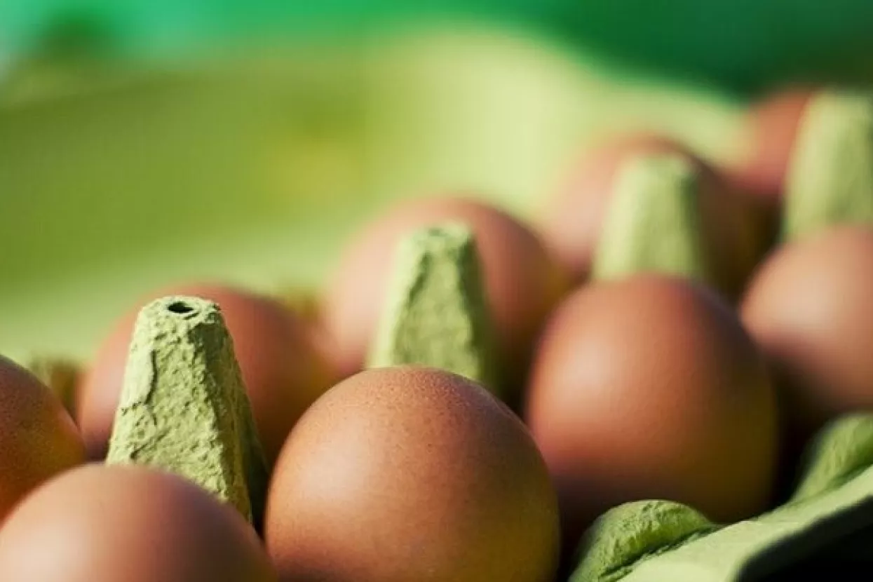 Tolušić o uskršnjim jajima: Svi nalazi su dobri, nema salmonele