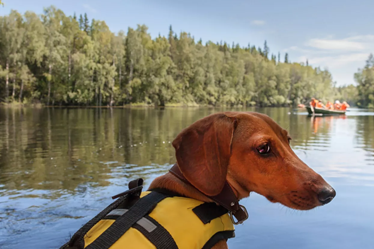 Na Uskrsni ponedjeljak 'kobasičasti pas' dobio svoj prvi muzej