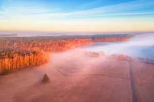 Pravda za sve: Ulagač platio dva posto veće kamate zbog nesređene gruntovnice