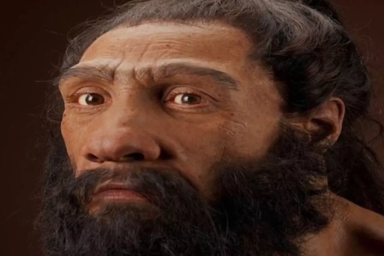 Istureni nos neandertalcima je omogućio da udišu više zraka