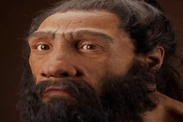 Istureni nos neandertalcima je omogućio da udišu više zraka