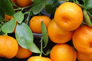 Proizvodnja mandarina drastično pala u 2017.