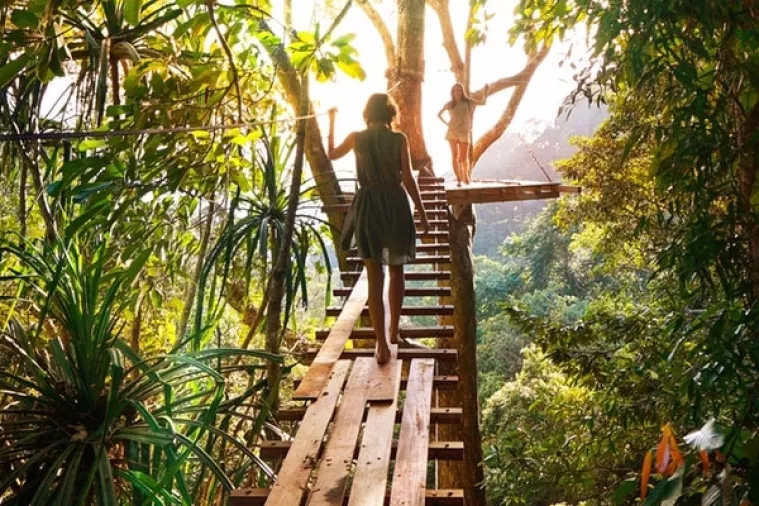 Otkriven 'algoritam' koji omogućuje predviđanje ishoda za naizgled iste vrste karcinoma