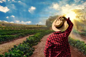 Trumpove mjere: Američki poljoprivrednici osjetili prve posljedice protekcionizma