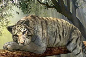 Popularnost životinja iz džungle stvara lažnu percepciju o njihovoj populaciji