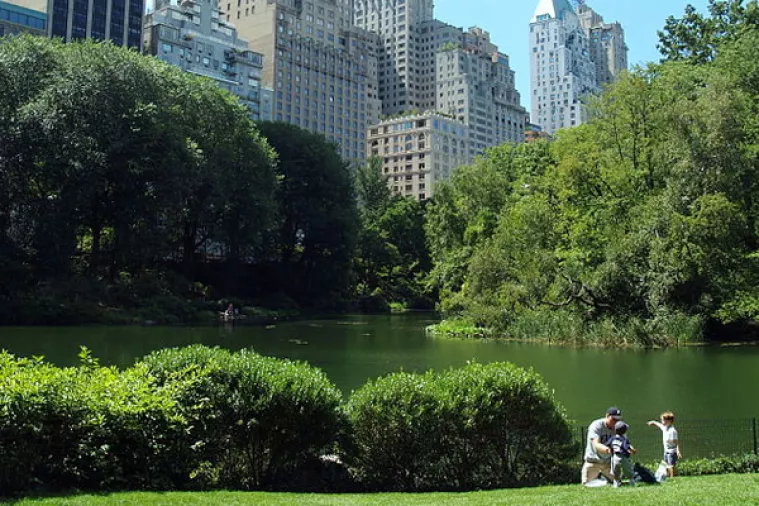 Central Park preuzimaju pješaci, automobilima zabranjen pristup