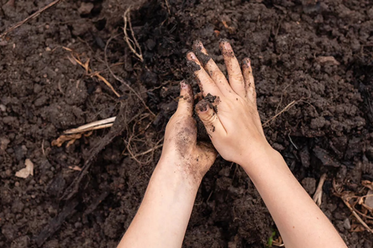 'Blatno zlato': Pronašli izdašne zalihe rijetkih metala koji mogu 'obrnuti' ekonomiju naglavačke