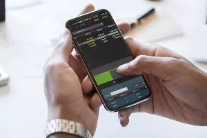 ZSE: Rast indeksa i prometa