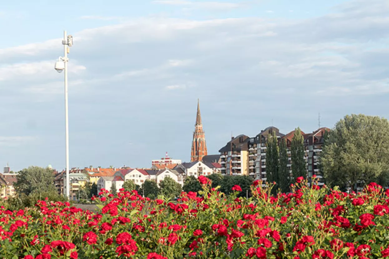 Višnja Starešina: Slavonija kao moguće predvorje trećega svjetskog rata