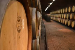 Feravino: Ivan Maričić novi predsjednik Uprave