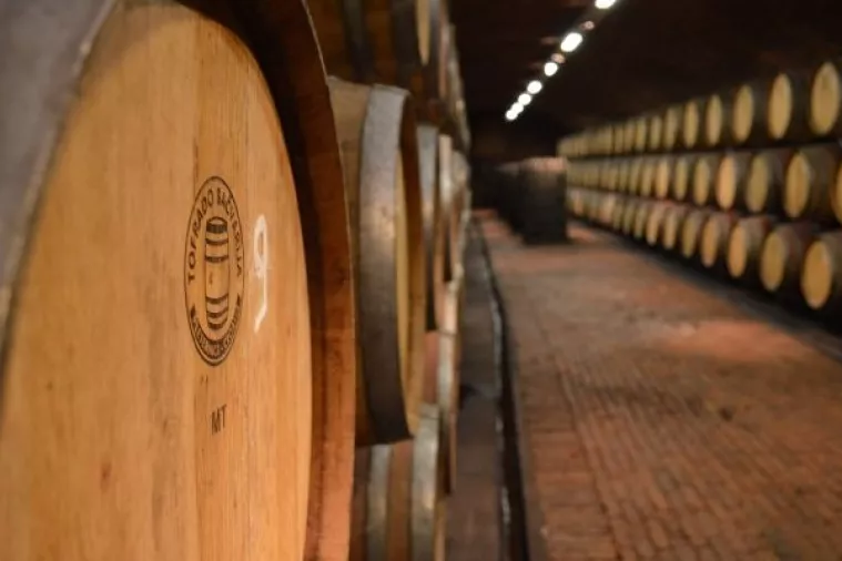 Feravino: Ivan Maričić novi predsjednik Uprave