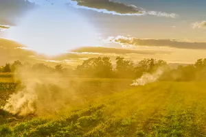 Ravenšćak: Ne postoji natječaj koji favorizira Slavoniju, za Vladu bi to bilo kontraproduktivno