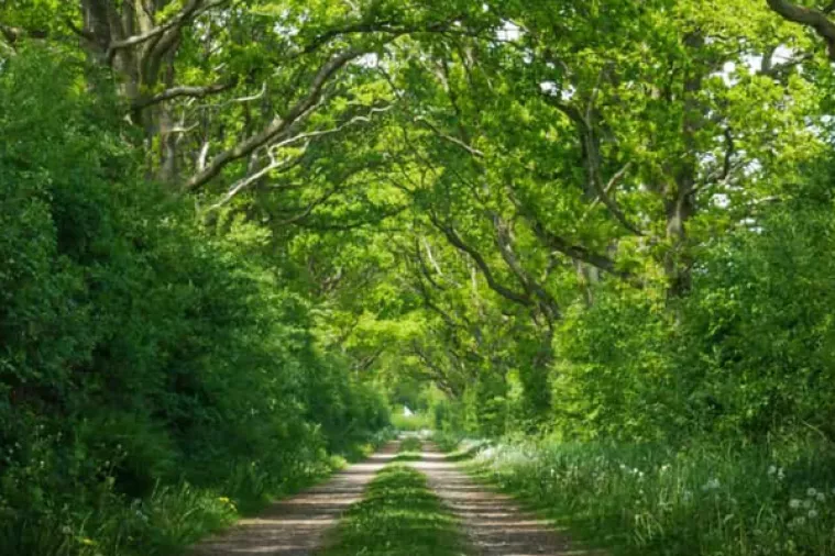 Nikola Horvat 'trasira' 2300 kilometara dug Croatian Long Distance Trail