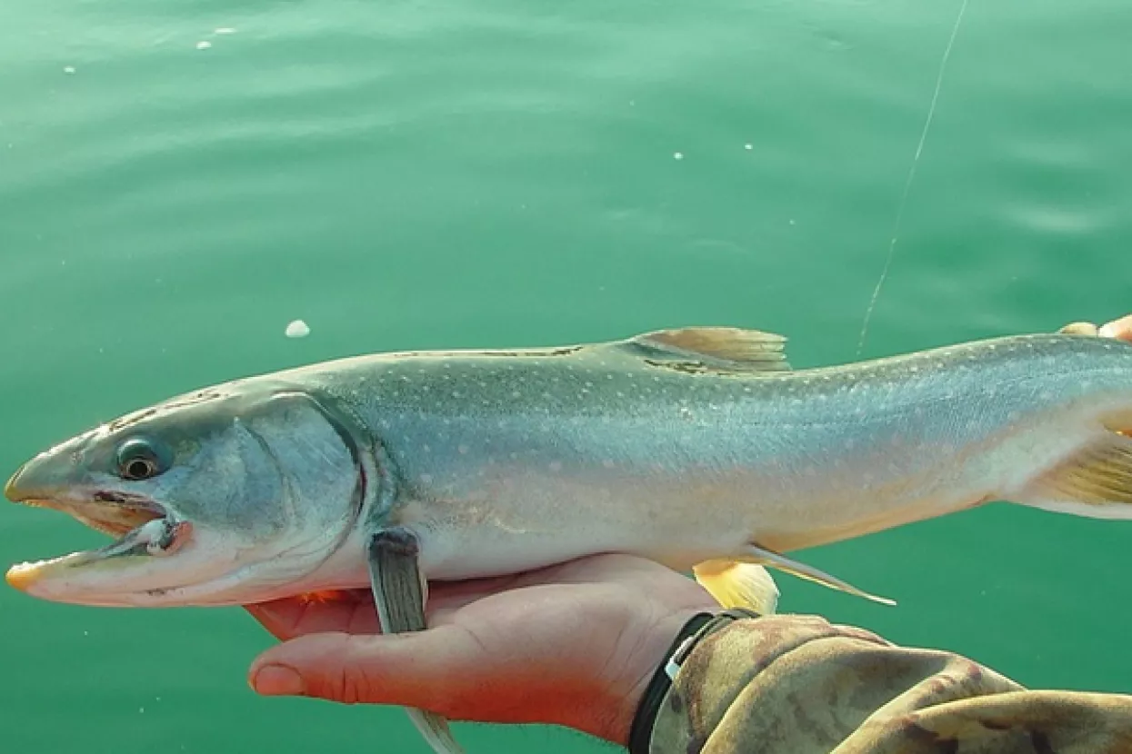 Norveška planira uvesti poreze i uzgajivačima riba