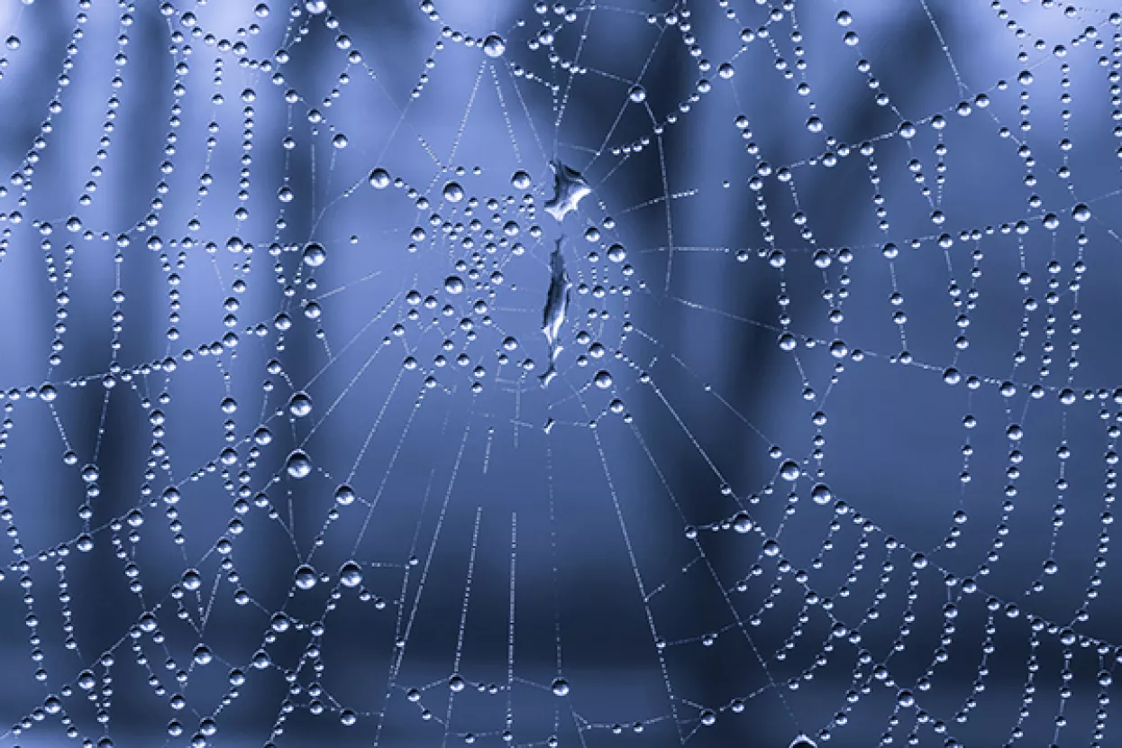 'Ispleli mrežu' i oštetili kutinsku tvrtku za preko 660 tisuća kuna