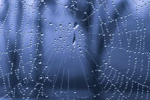 'Ispleli mrežu' i oštetili kutinsku tvrtku za preko 660 tisuća kuna