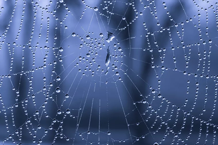 'Ispleli mrežu' i oštetili kutinsku tvrtku za preko 660 tisuća kuna