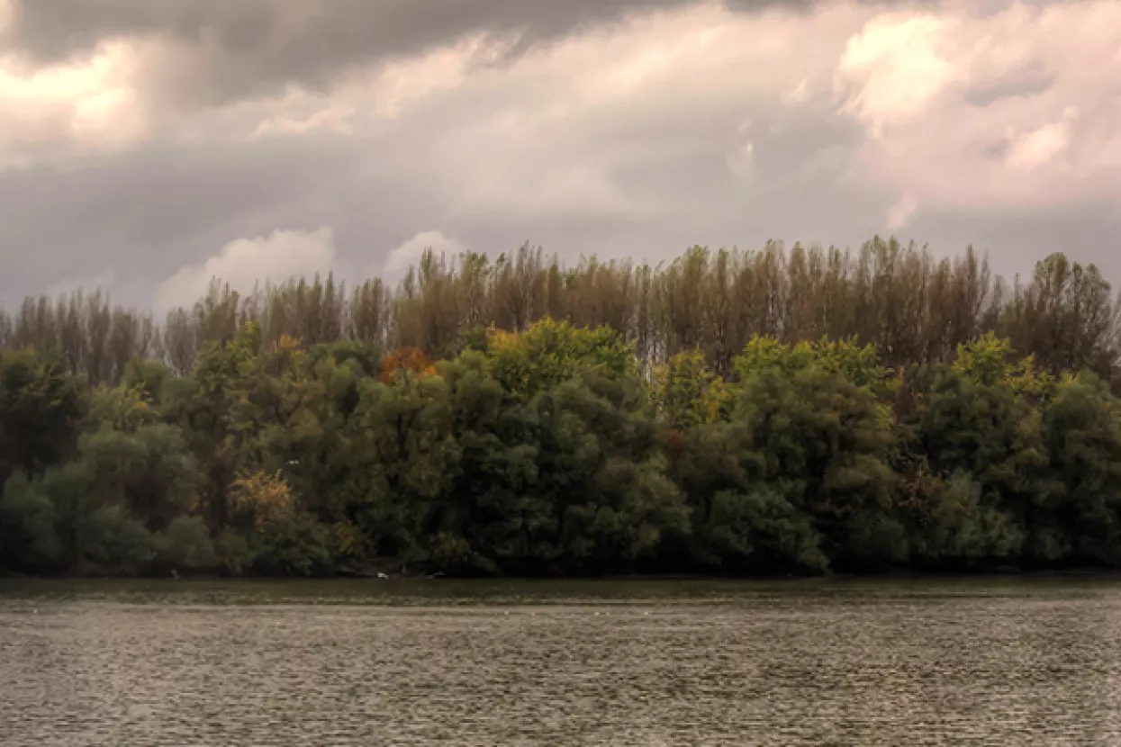 Hrvatske vode objavile da Sava nije onečišćena, prati se stanje