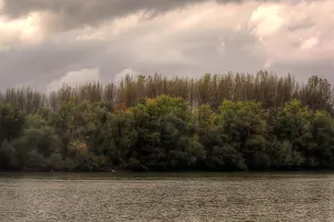 Hrvatske vode objavile da Sava nije onečišćena, prati se stanje