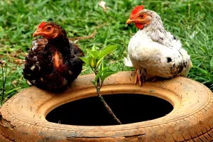 Razvoju ruralnog turizma treba veća potpora države