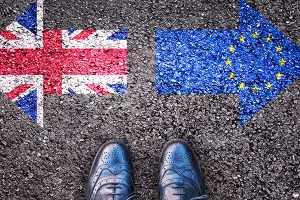 Još jedan udarac Theresi May - Dom lordova protiv napuštanja agencija EU nakon Brexita