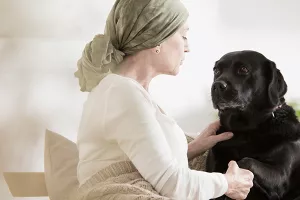Psi su savršeno sretni dok pomažu ljudima