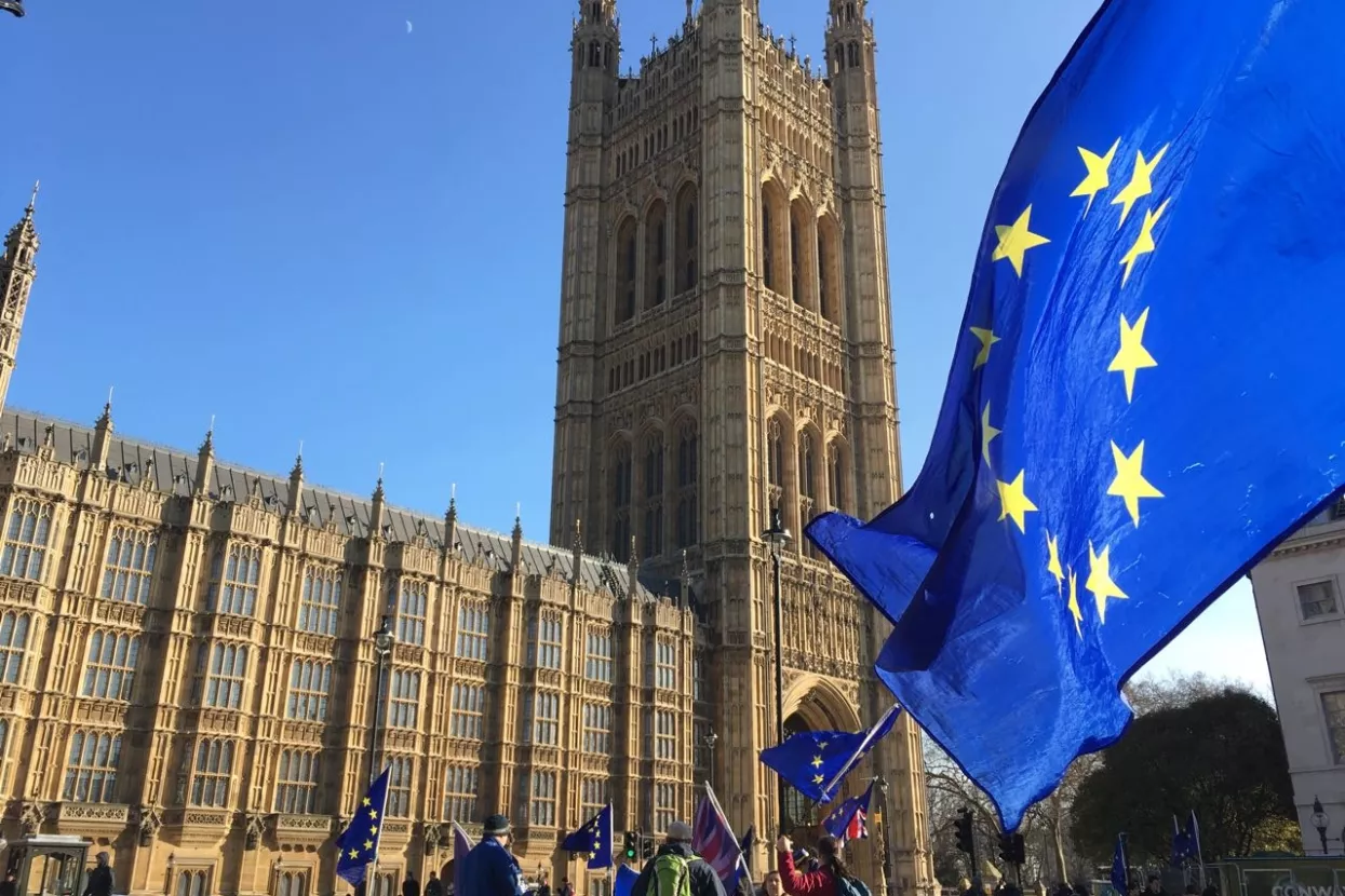 Pokret Leave.EU kažnjen zbog nepravilnosti u financiranju kampanje