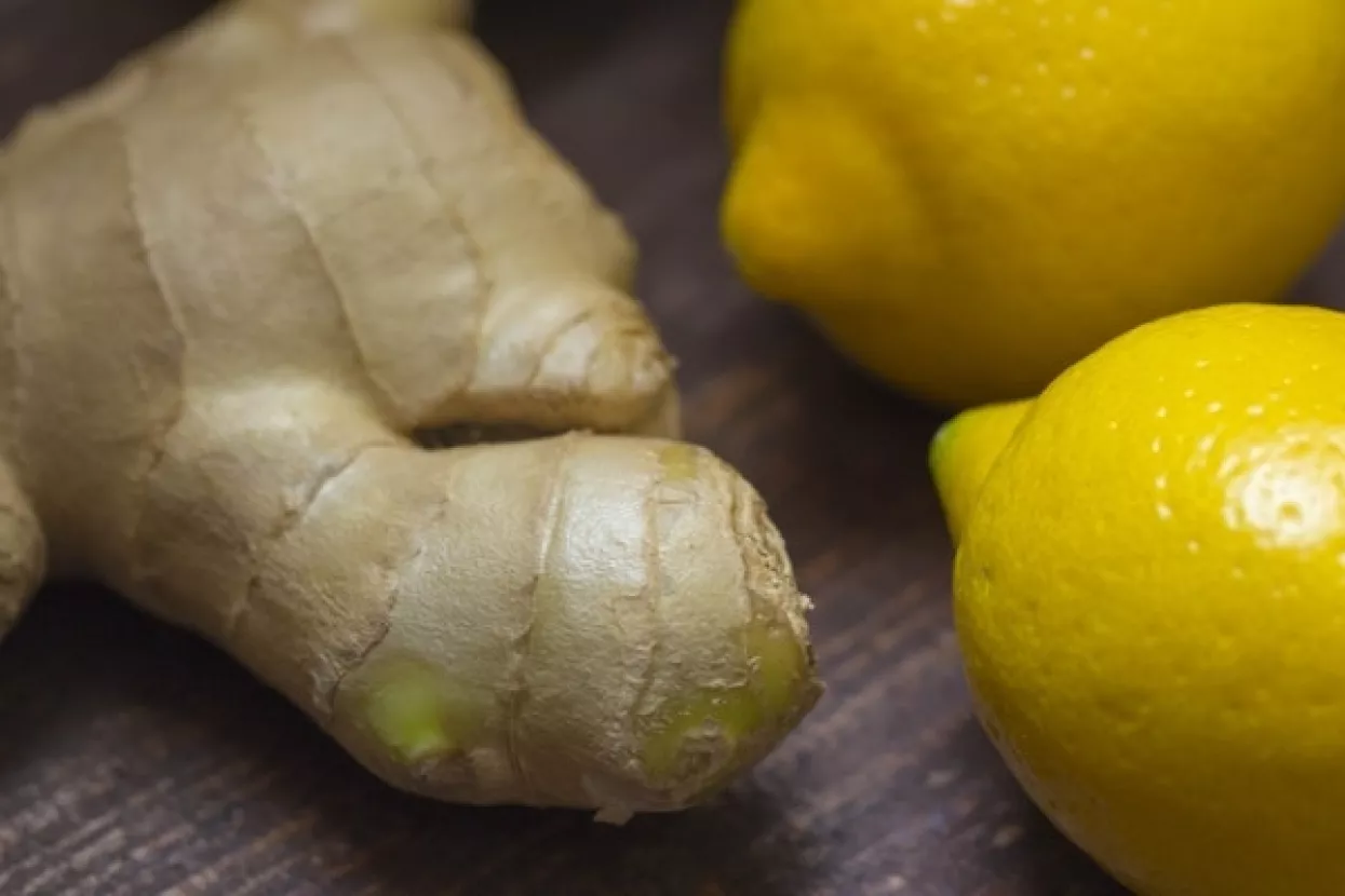 Đumbir je možda dobar lijek protiv povraćanja